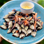 Canned Gooseneck Barnacles in Brine